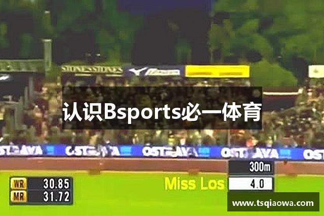 认识Bsports必一体育